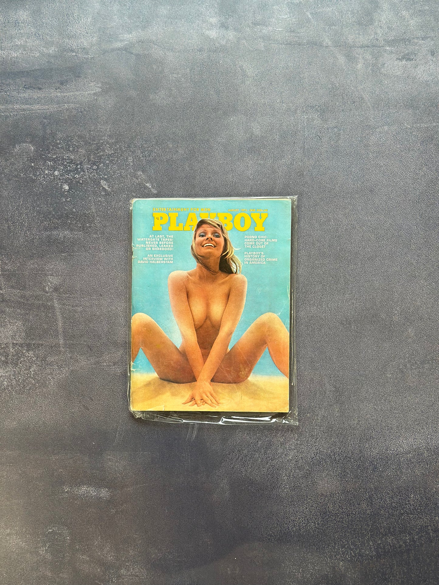 Vintage Playboy - August 1973