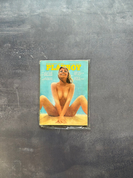 Vintage Playboy - August 1973