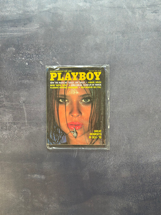Vintage Playboy - February 1977
