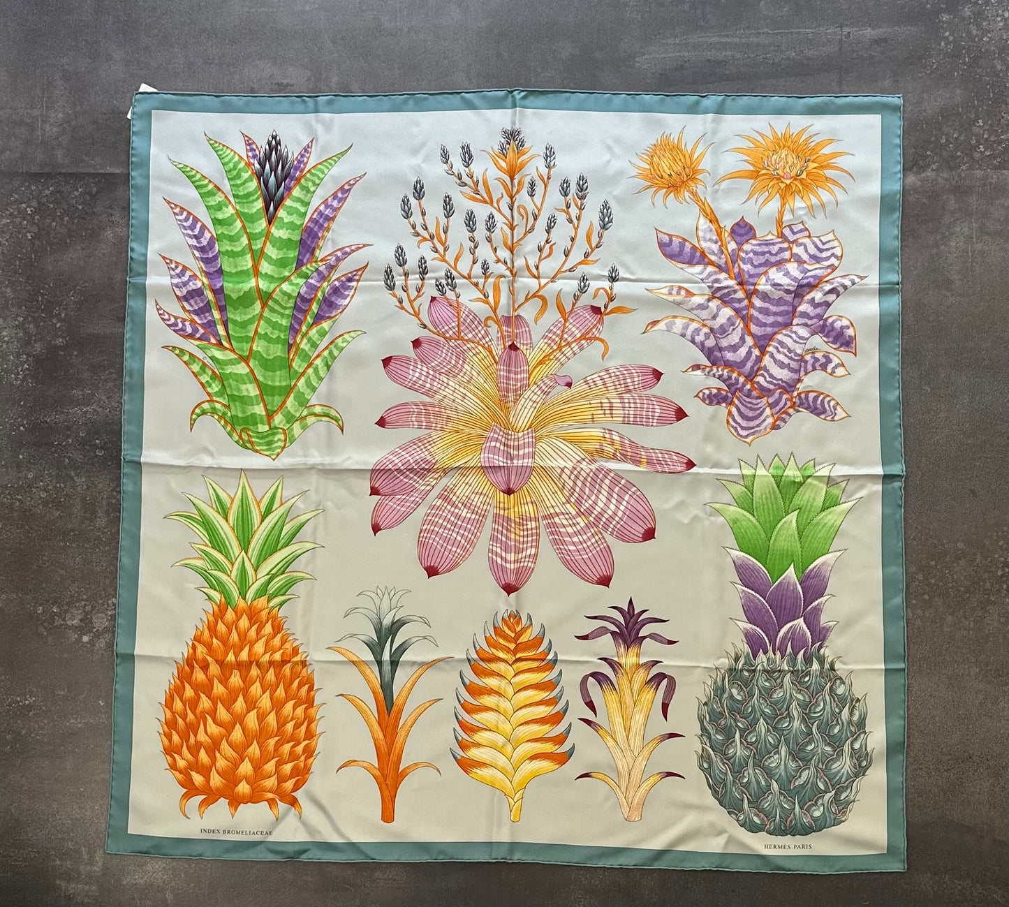Designer Hermés Index Bromeliaceae scarf 90 w/ tags