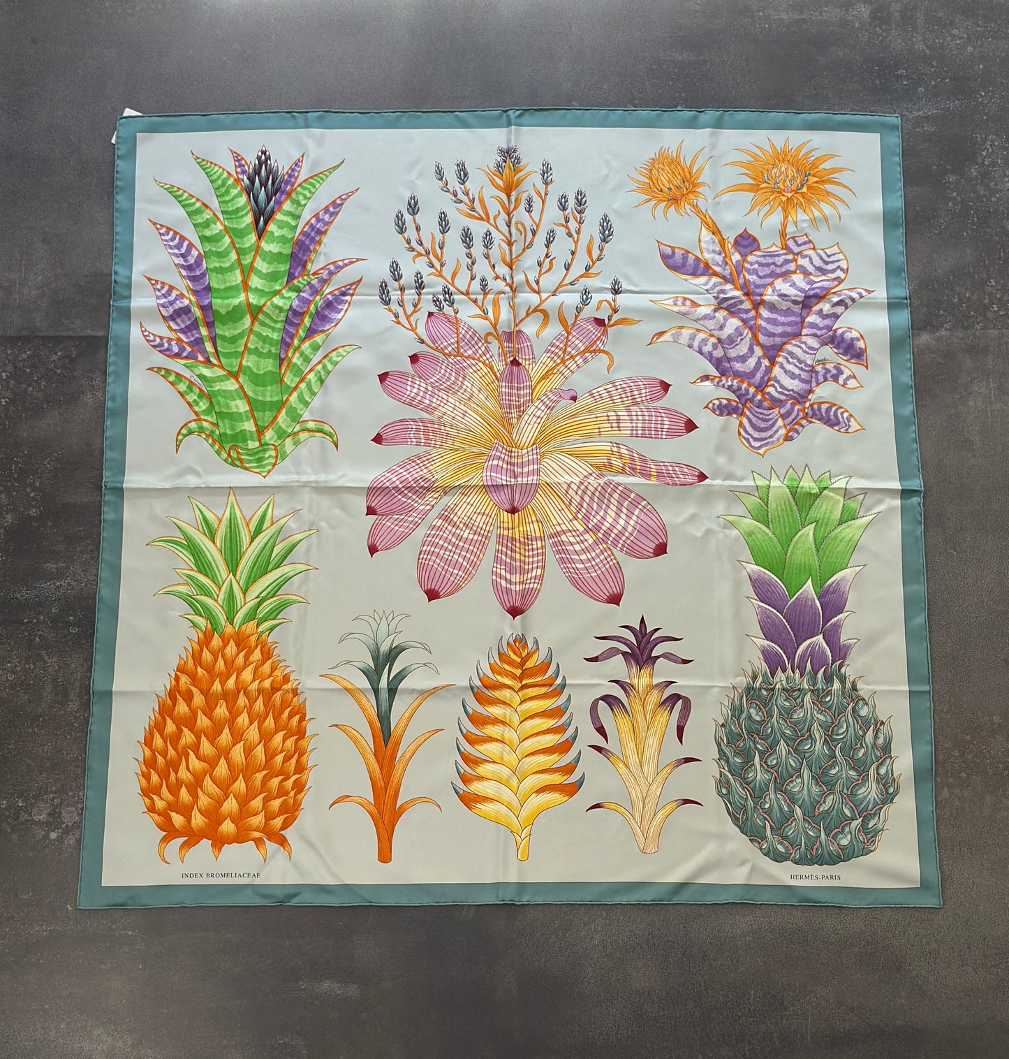 Designer Hermés Index Bromeliaceae scarf 90 w/ tags