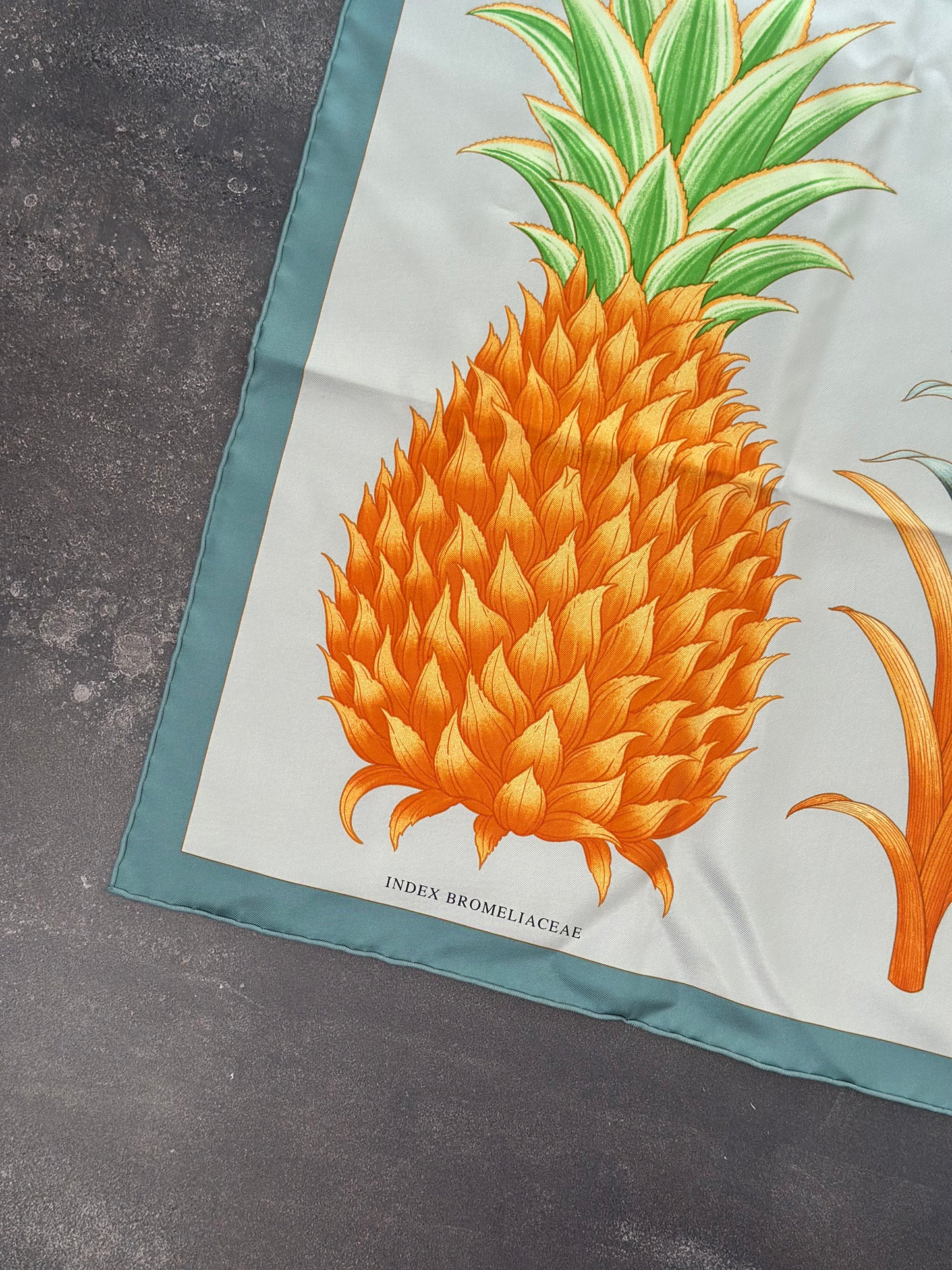 Designer Hermés Index Bromeliaceae scarf 90 w/ tags