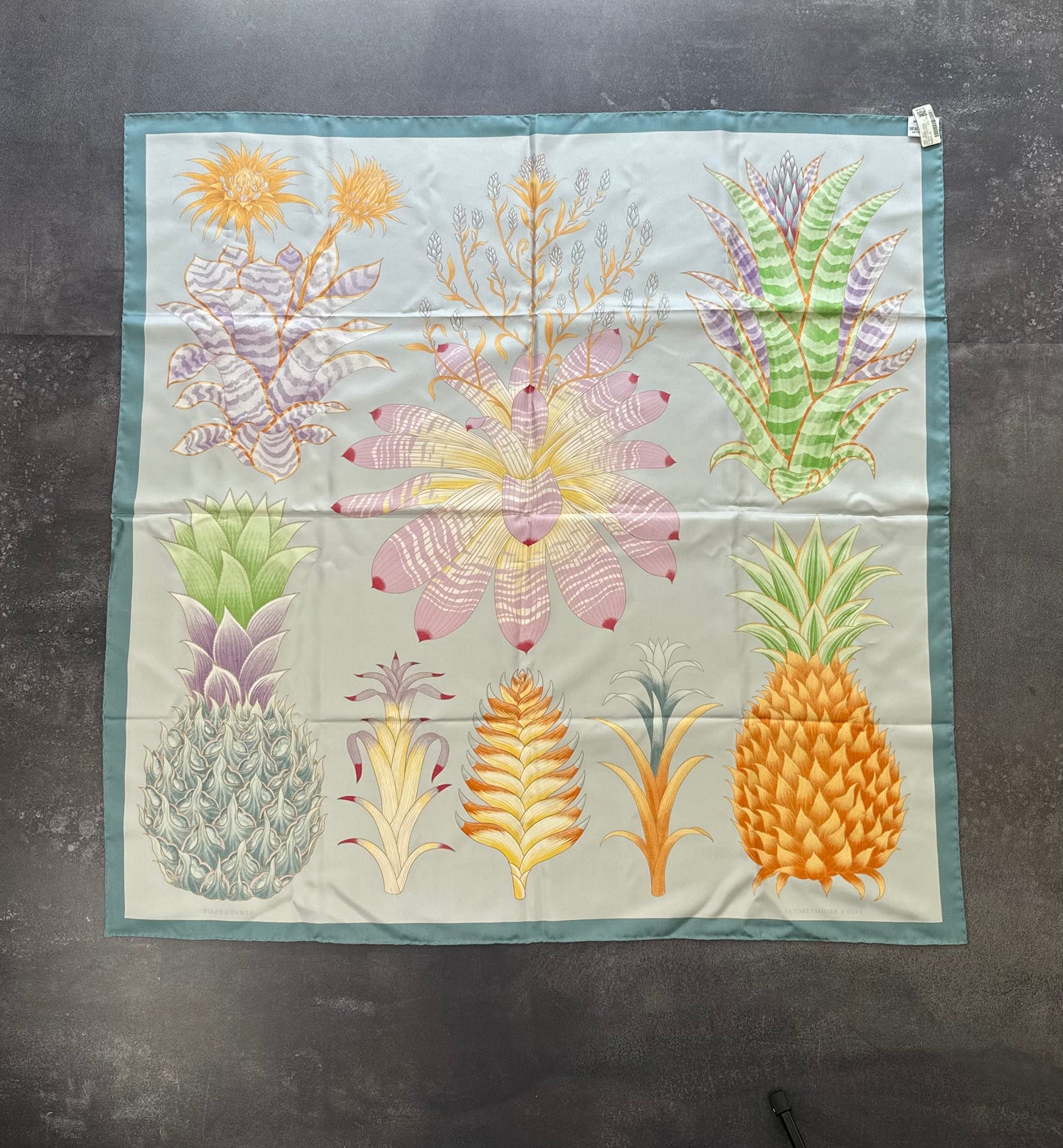 Designer Hermés Index Bromeliaceae scarf 90 w/ tags